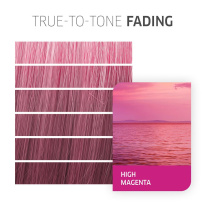 Fresh Create 60 ml ─ High Magenta