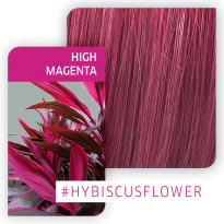 Fresh Create 60 ml ─ High Magenta