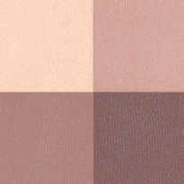 The Eyeshadow Quartet ─ 01 Muddy Nudes