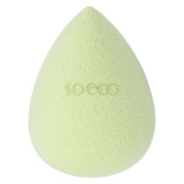 Complexion Sponge