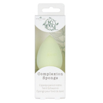 Complexion Sponge