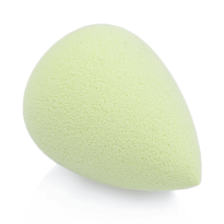 Complexion Sponge