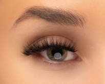 Lash Girl's Night