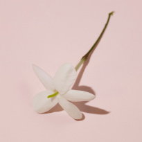 Her Elixir Eau De Parfum 50 ml