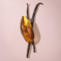 Her Elixir Eau De Parfum 50 ml