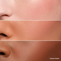 Pot Rouge Velvet Matte Guava Punch 8,5g