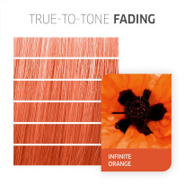 Fresh Create 60 ml ─ Infinite Orange