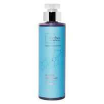 Hairsolutions Blonde Highlight Repair Shampoo 500ml