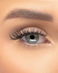 Extension Collection Hybrid