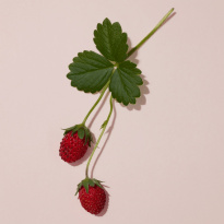 Her Eau De Parfum Intense 100ml