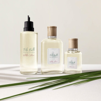 Polo Earth Antilles Vetiver Eau De Toilette 100 ml