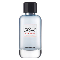 New York Eau De Toilette 100 ml