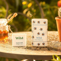 Deo Bee Case Honey & Cactus Flower 40g