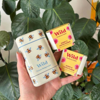 Deo Bee Case Honey & Cactus Flower 40g