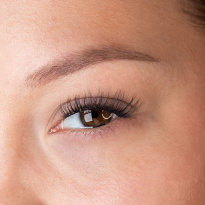 Press & Go Underlashes Lust