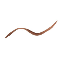 Eyegasm Eyeline Brown 4ml