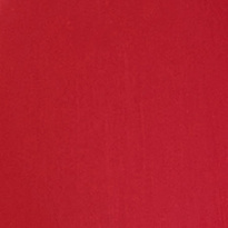 Perfect Moisture Lipstick 210 Ultimate Red 4g