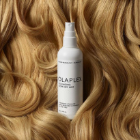 Volumizing Blow Dry Mist 150 ml