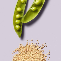 Clean Beauty Repair Conditioner 250 ml