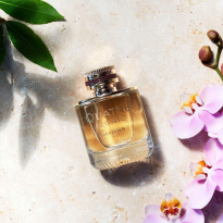 Quatre Iconic Eau De Parfum 50 ml