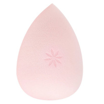 Complexion Sponge