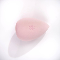 Complexion Sponge