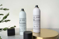 Dry Shampoo 250 ml