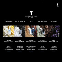 Y Le Parfum Eau De Parfum 100ml