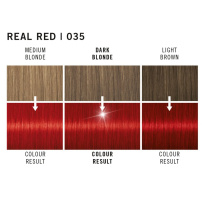 Live XXL – 35 Real Red