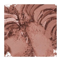 Sheertone Blush Gingerly 6g