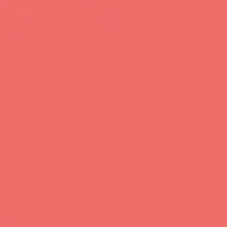 Nudies Blush Bloom Dewy 7 g – Tiger Lily Queen