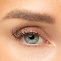 Perfect Fit Lash Daytime Chic
