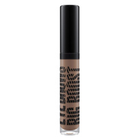 Eye Brows Big Boost Fibre Gel Stylized 4,1g