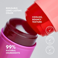 The Lip & Cheek Tint Cooling Jelly Stick 10 Coral Rouge 12g