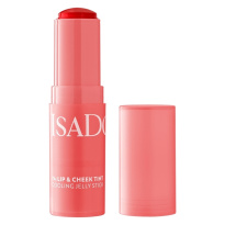 The Lip & Cheek Tint Cooling Jelly Stick 10 Coral Rouge 12g