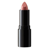 Perfect Moisture Lipstick 012 Velvet Nude 4g