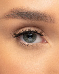 Lash Vault Jet Setter 3 paria
