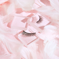 Lash Vault Jet Setter 3 paria