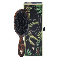 Boar & Nylon Brush Hollywood Medium