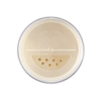 The Loose Setting Translucent Powder 00 Translucent 9g