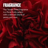 Ultimate Repair Miracle Hair Rescue 30 ml