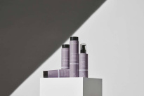 Blonde Perfection Silver Leave-In Treatment  150 ml
