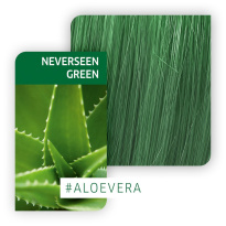 Fresh Create 60 ml ─ NeverSeen Green
