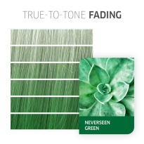 Fresh Create 60 ml ─ NeverSeen Green