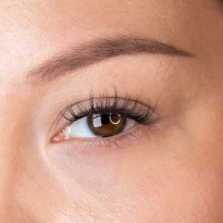 Press & Go Underlashes Crush