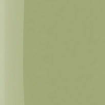 The Wonder Nail Polish Quick Dry & Longwear 5 ml ─ 143 Cool Matcha