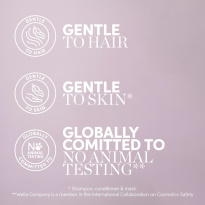 ColorMotion+ Structure Mask 500ml