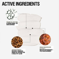 Skin Defense Primer 50 ml