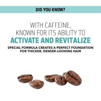 Densifying Shampoo 250ml