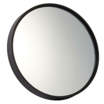 Signature 10x Suction Mirror